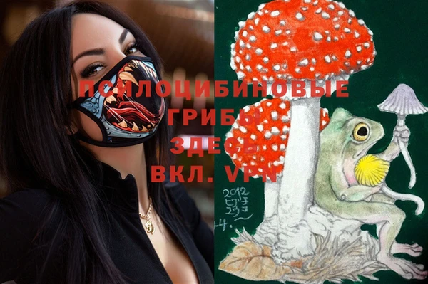 PSILOCYBIN Касимов